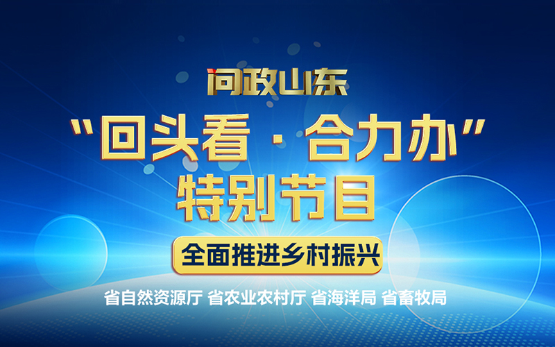 問政山東丨“回頭看·合力辦”特別節目